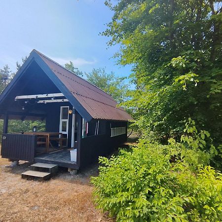 ברובסט Tranum Klit Camping Og Hytteudlejning מראה חיצוני תמונה