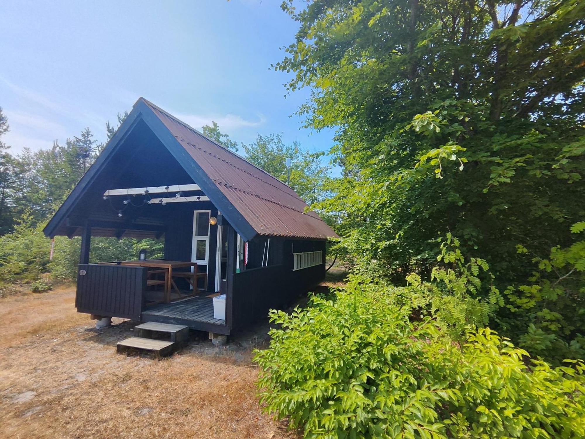 ברובסט Tranum Klit Camping Og Hytteudlejning מראה חיצוני תמונה